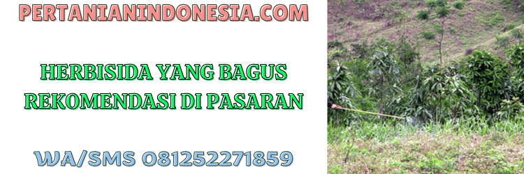 herbisida,bagus,pestisida,pestisida jenis herbisida,pertanian indonesia